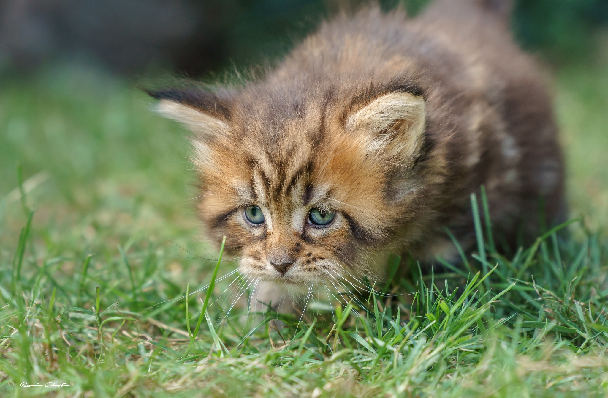 2048 x 1339wall_e06e695faaa50c760296a580a6ae7656.jpg